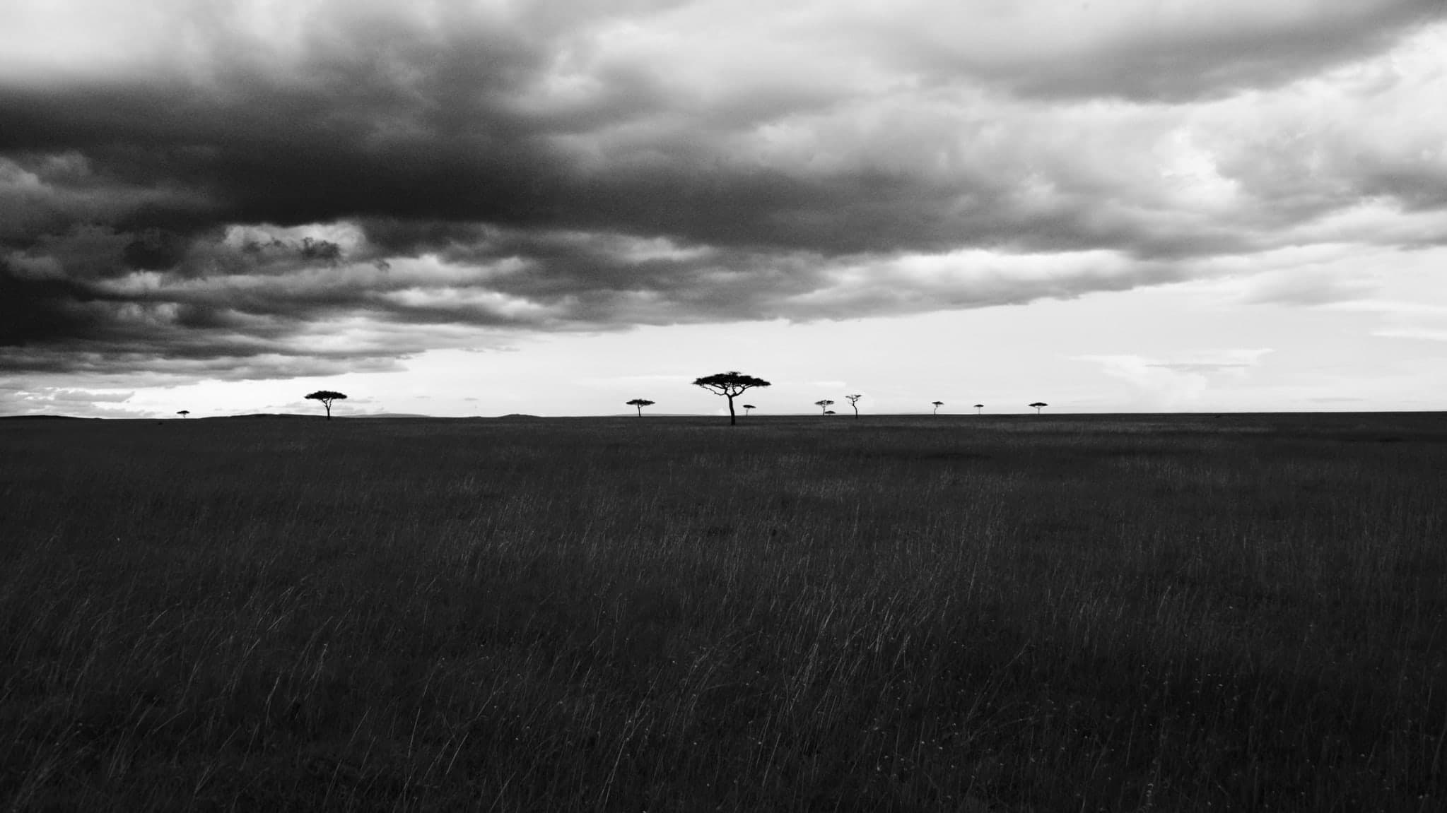 Weiter Savannenhorizont unter dramatischem Himmel